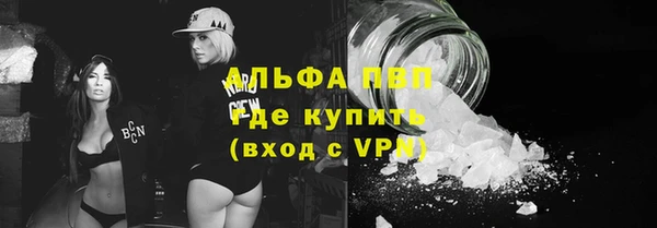 МДПВ Каменногорск
