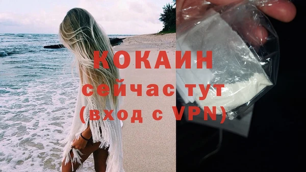 МДПВ Каменногорск