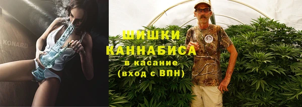 МДПВ Каменногорск