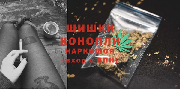 МДПВ Каменногорск