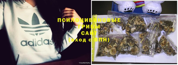 не бодяженный Каменка