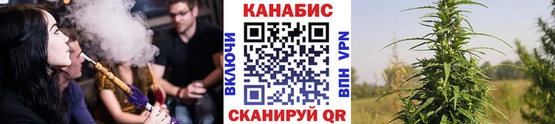 Купить где Кизилюрт Конопля LSD WEED